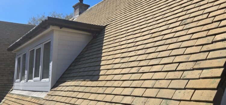 Roof Installation Services Bedminster
