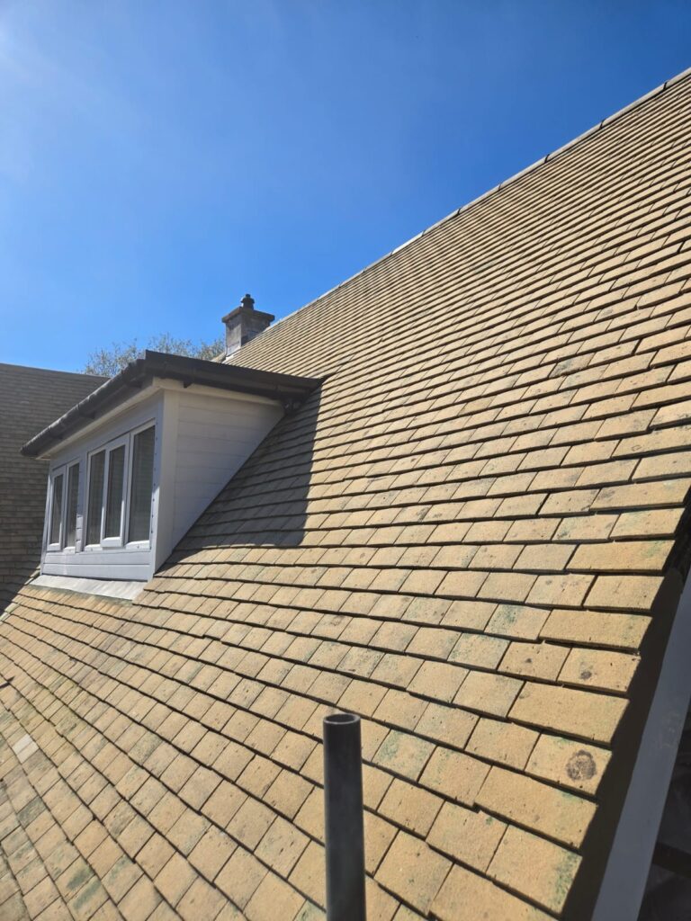Roof Installation Services Bedminster
