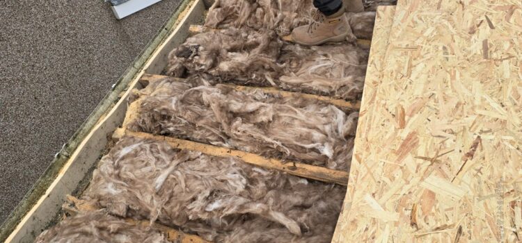 roof repairs in Kingswood
