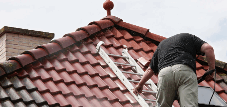 Roof Moss Removal in Bristol