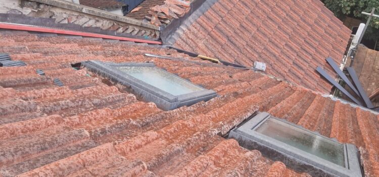 roof replacement bedminster