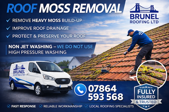 moss removal bristol